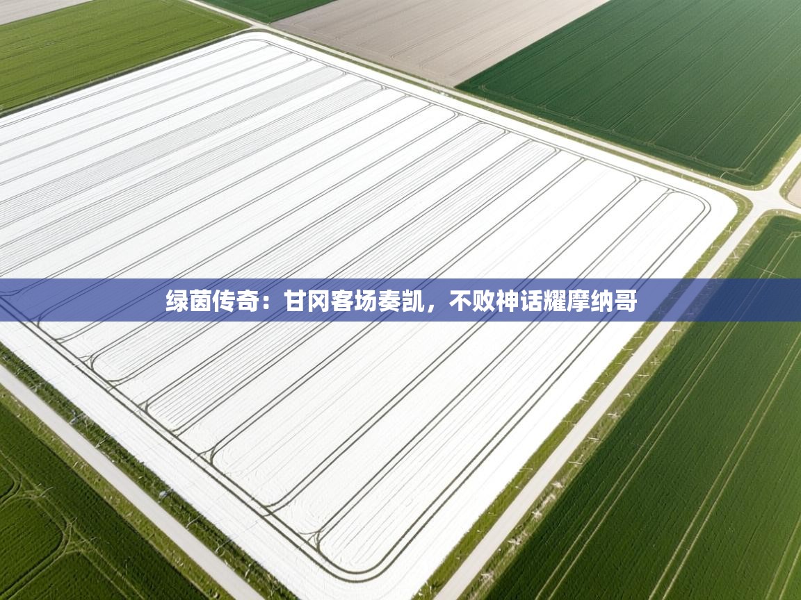 绿茵传奇:甘冈客场奏凯,不败神话耀摩纳哥 第1张