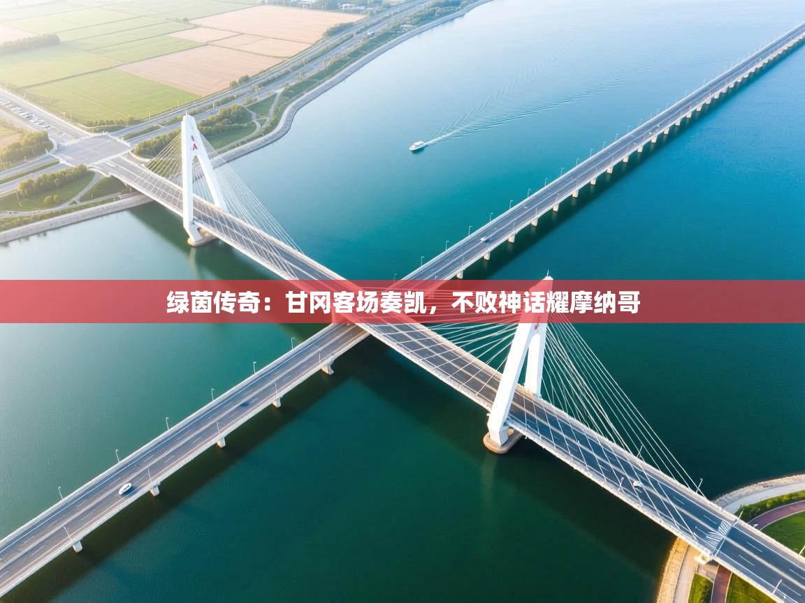 绿茵传奇:甘冈客场奏凯,不败神话耀摩纳哥 第2张