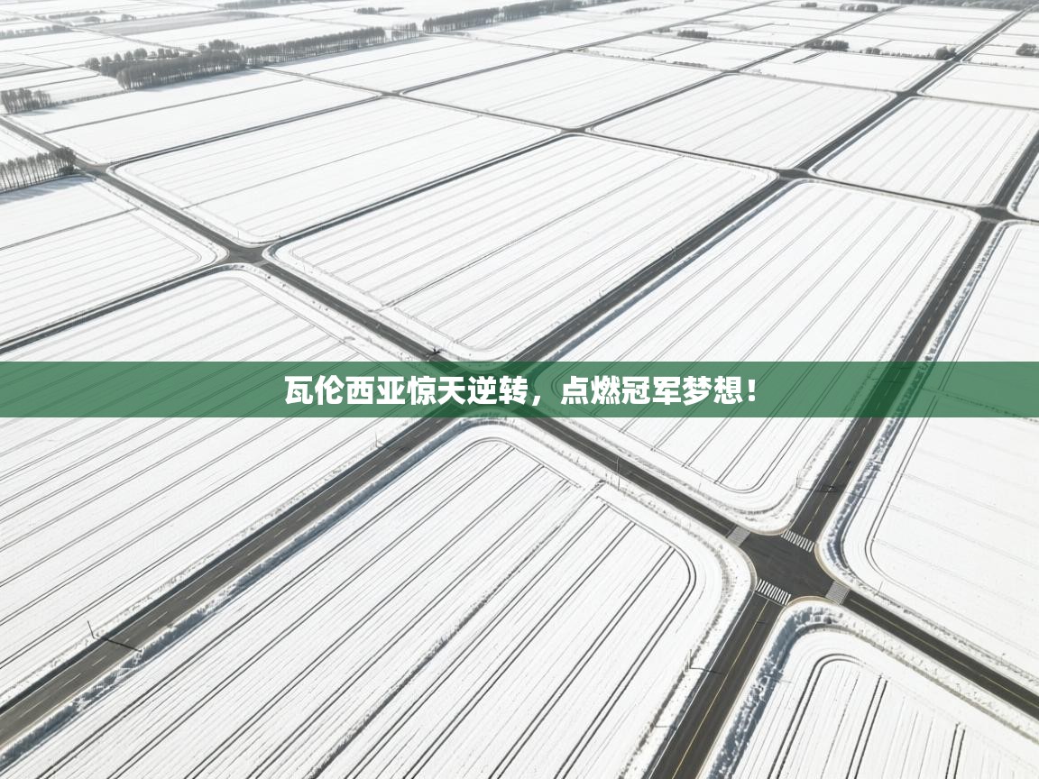 瓦伦西亚惊天逆转,点燃冠军梦想! 第2张