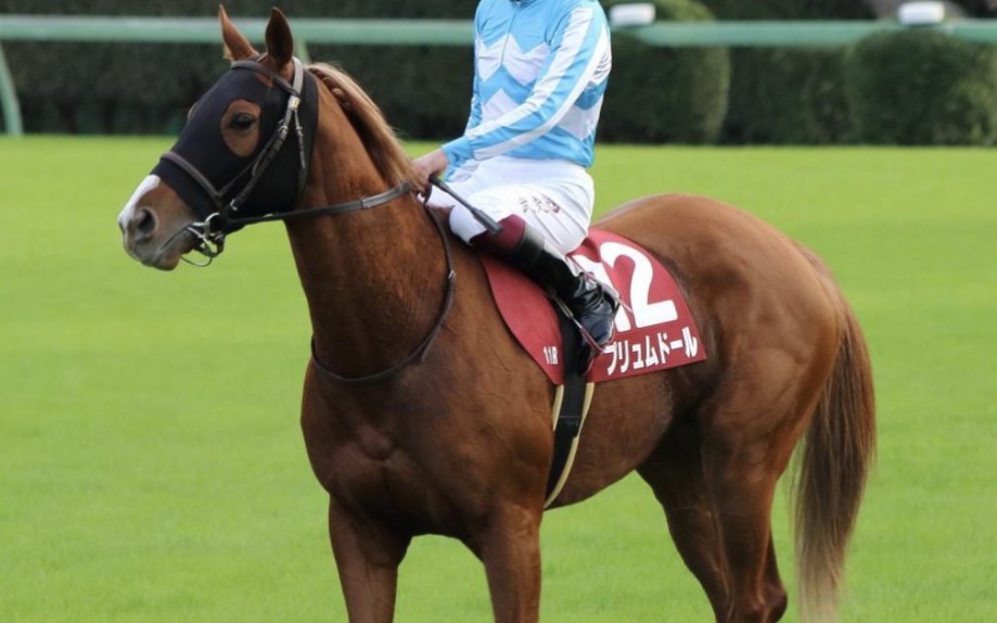 爱游戏官方登录入口-关于阿根廷选手激情澎湃，夺得马术比赛金牌的信息