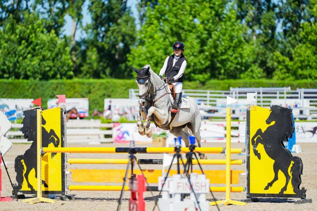 爱游戏官方登录入口-关于阿根廷选手激情澎湃,夺得马术比赛金牌的信息