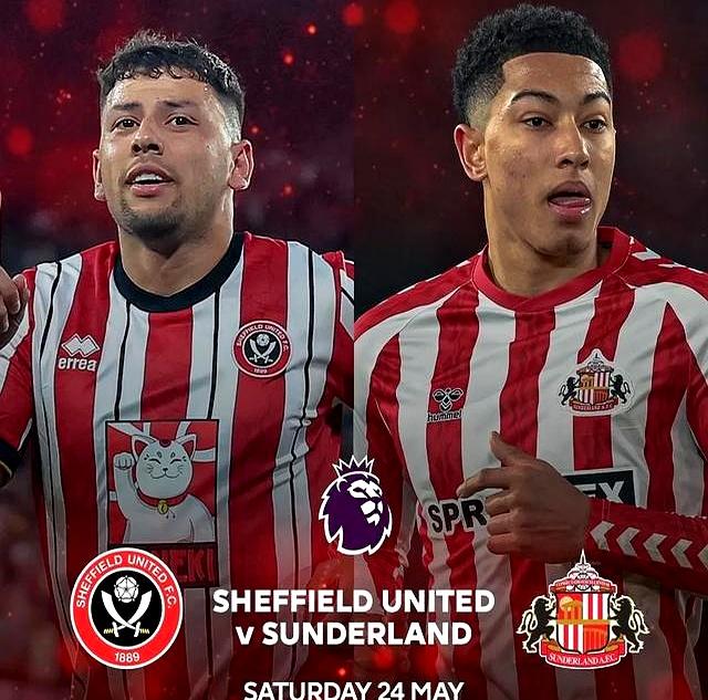 爱游戏投注-关于桑德兰连败不止,降级形势严峻的信息