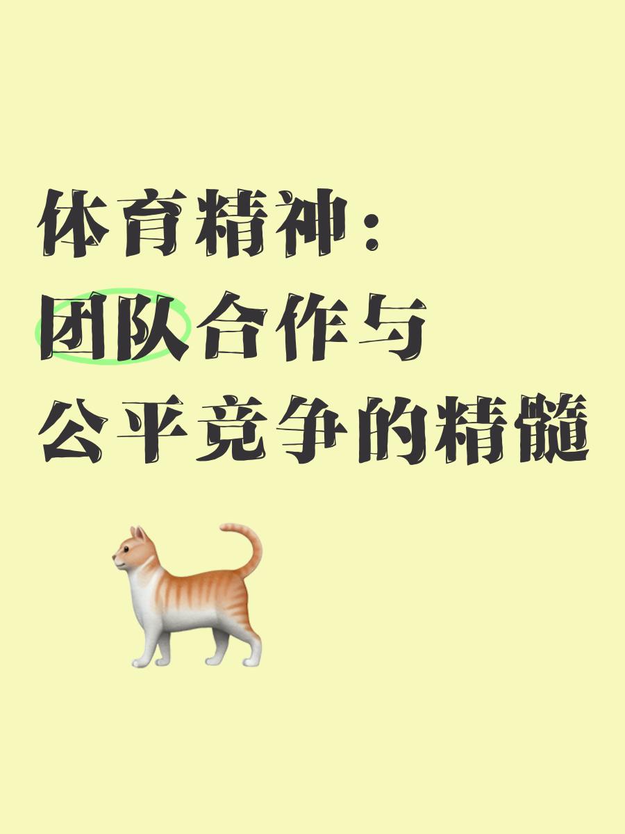 爱游戏娱乐-男篮职业联赛中球员的团队合作精神